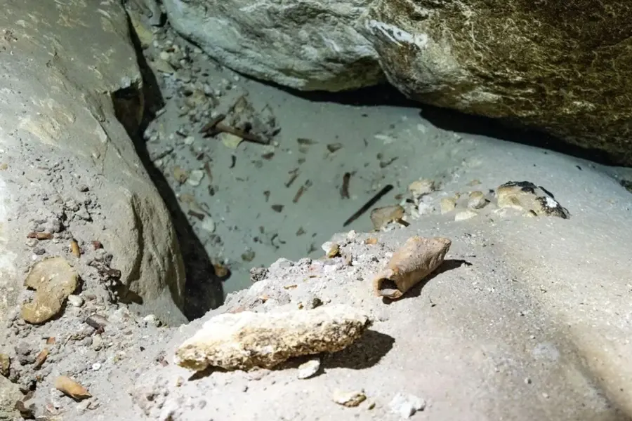 These underwater bones could solve a mystery about extinct giants